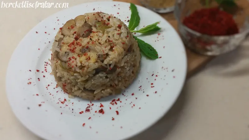 wtr kllnln 2016-15-3--18-29-34