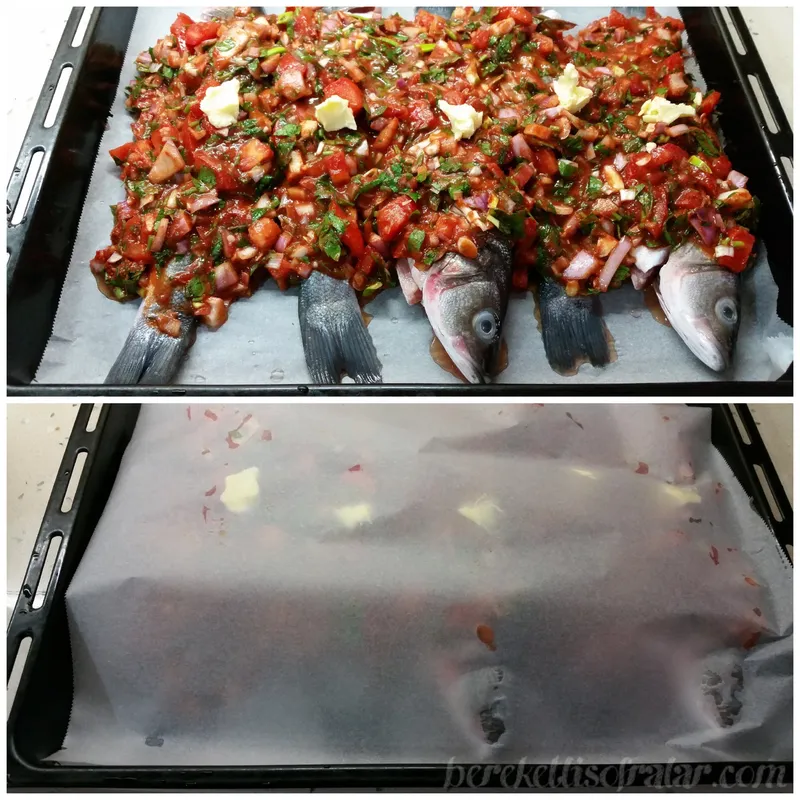 wtr kllnln 2016-24-6--04-53-36